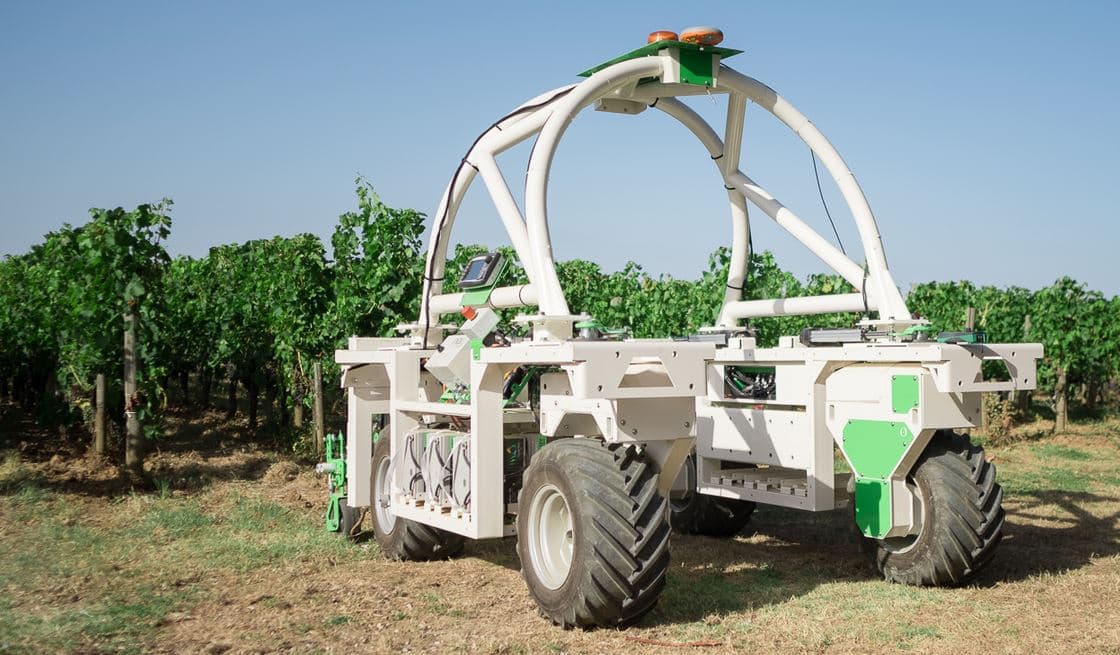 Vineyard and Orchard Weeding Robots