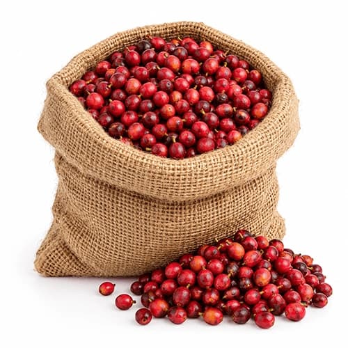 High-Altitude Raw Green Arabica Coffee Beans for Commercial Roasters