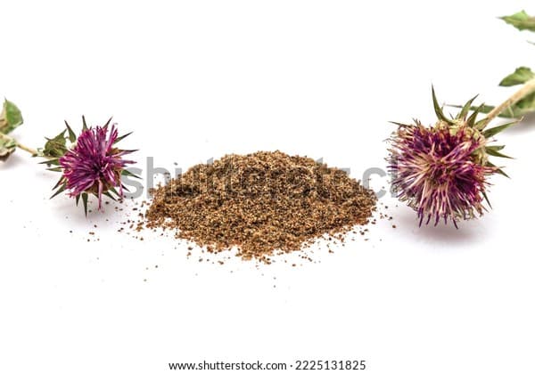 Vegetable Fibre & Pomace