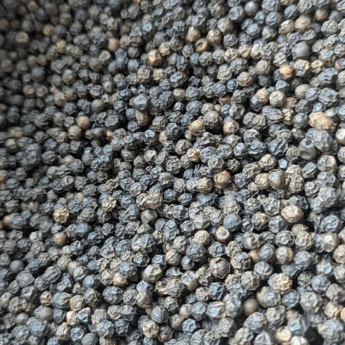 Premium Bulk Whole Black Peppercorns for Commercial Food Processing