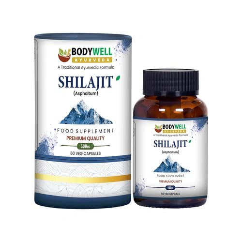 Shilajit 500mg Vegan Capsules for Ayurvedic Wellness Supplement