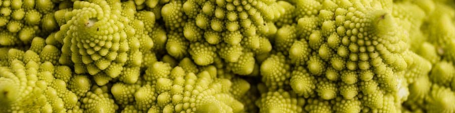 Bitter Gourd / Bitter Melon
