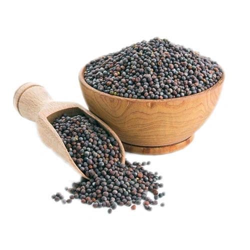Whole Black Mustard Seeds for Spice Blends, Pickling, and Wholesale Supply