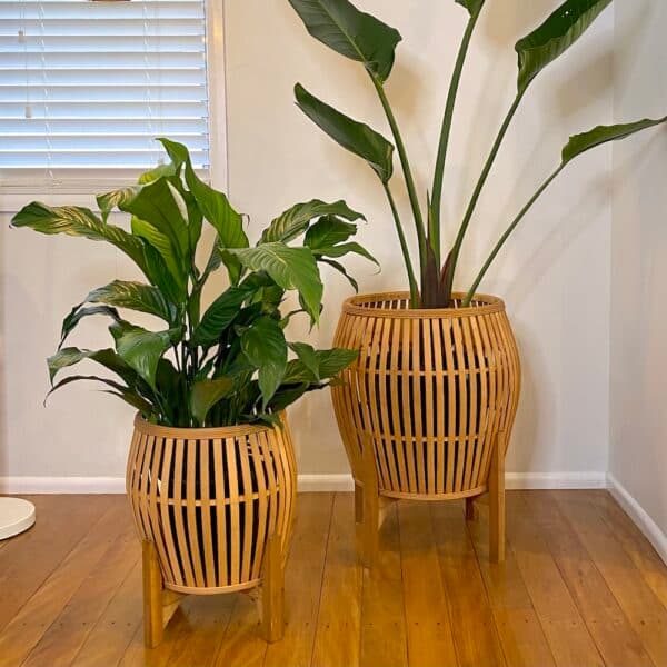 Bamboo Planters