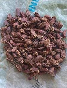 Black Cardamom Pods