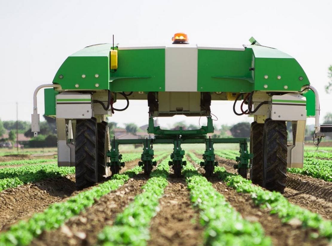 Mechanical and Physical Weeding Robots