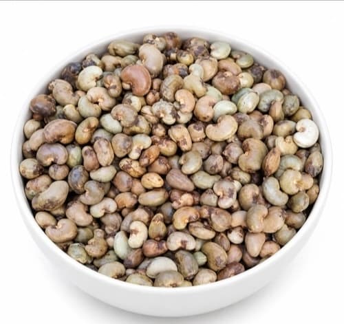 Raw Cashew Nuts in Shell for Industrial Processing and Wholesale