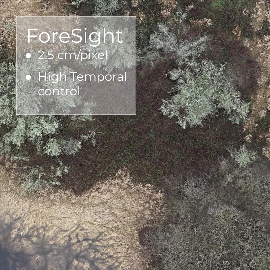 Large-Area Monitoring Drones