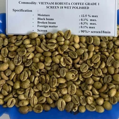 Vietnam Robusta Green Coffee Beans Grade 1 Screen 18 Wet Polished