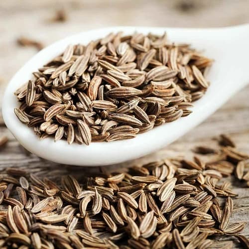 Whole Cumin Seeds for Spice Blends, Grinding, and Wholesale Supply