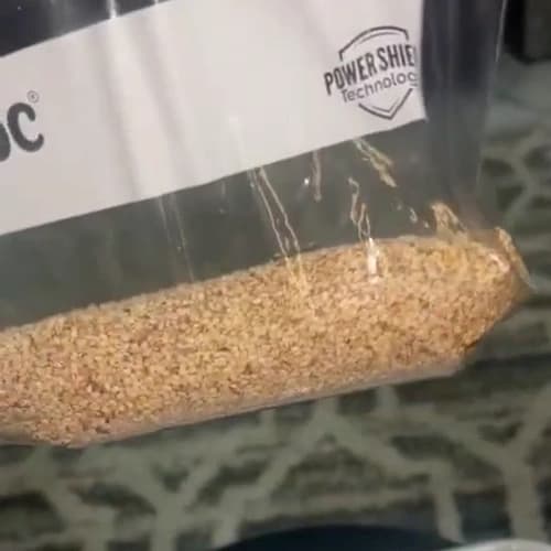 Premium Bulk Natural Sesame Seeds for Global Food Processing and Oil Extraction