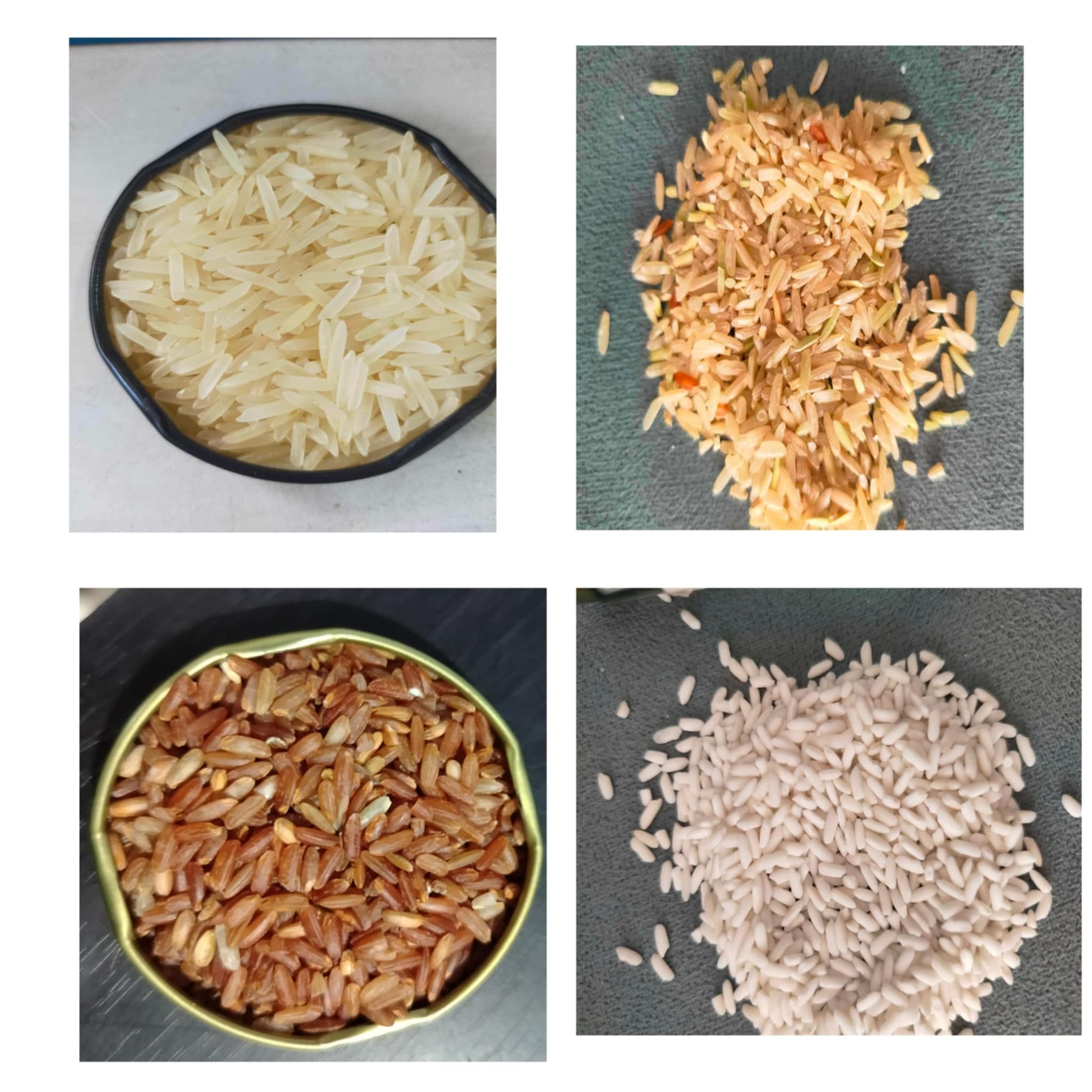 Specialty Rice (Red, Black, Brown)