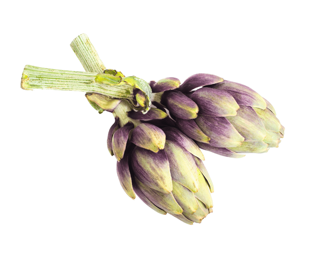 Artichoke
