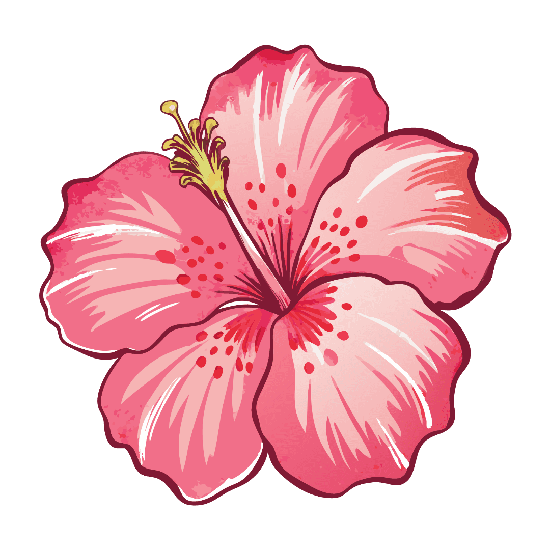 Hibiscus Flowers