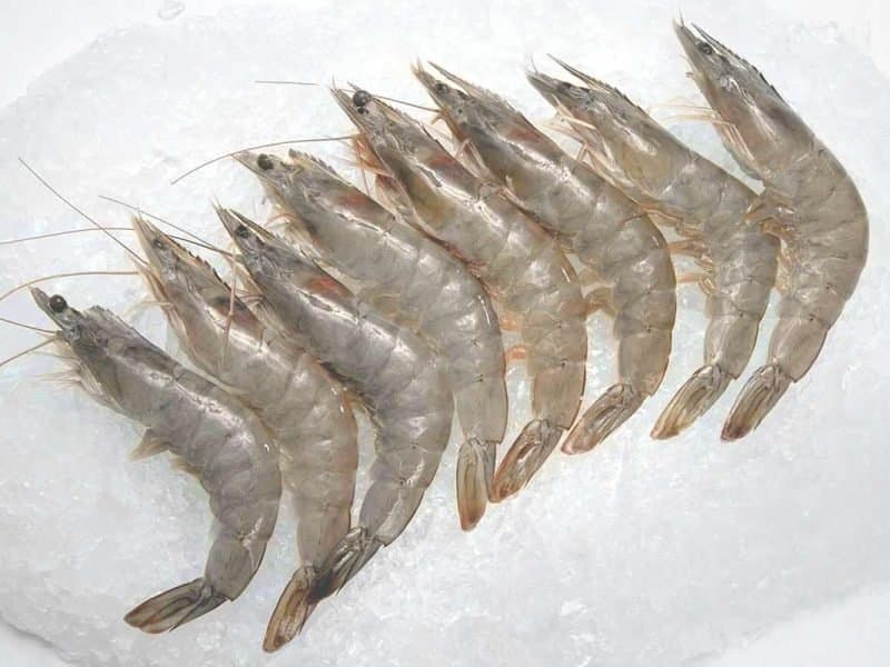 Thai Seafood (Vannamei Shrimp, Tuna, Squid)