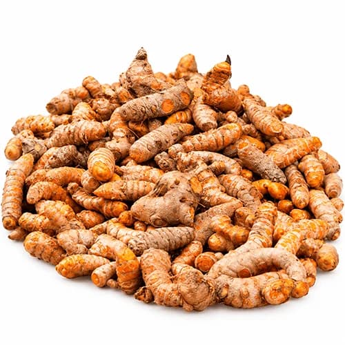 Premium Raw Turmeric Rhizomes for Food Processing and Spice Extraction