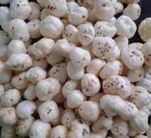 Premium Raw Gorgon Nut Makhana Fox Nuts for Commercial Food Processing
