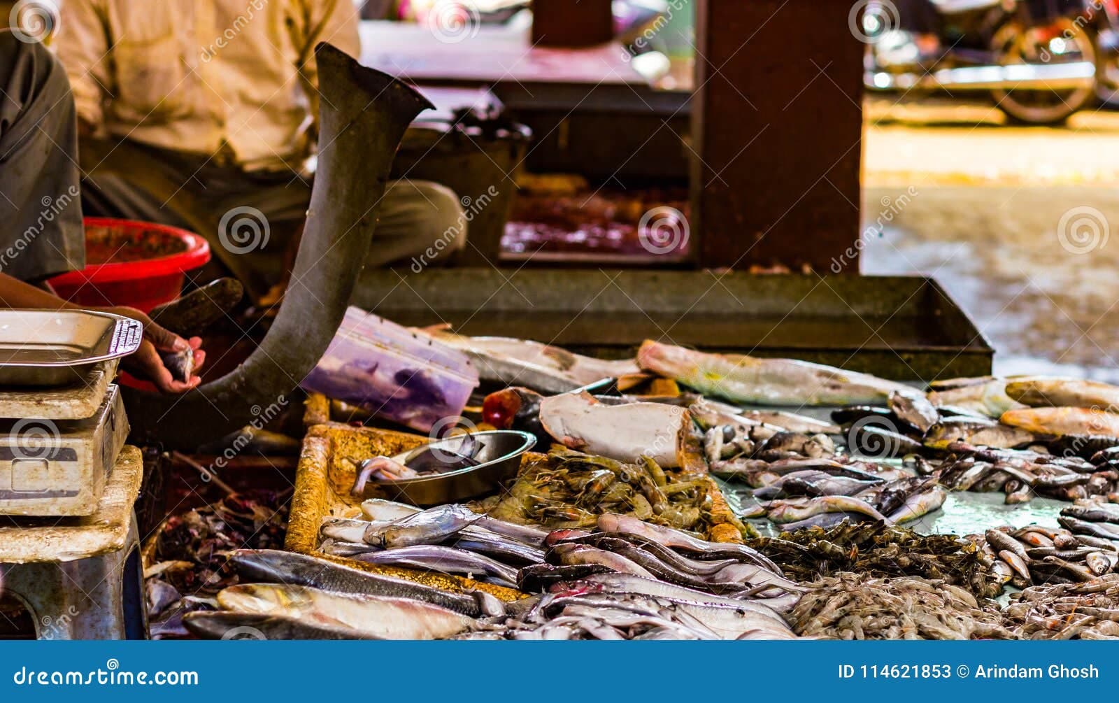 Bangladeshi Seafood (Hilsa, Rohu, Black Tiger Prawns, Mud Crab)