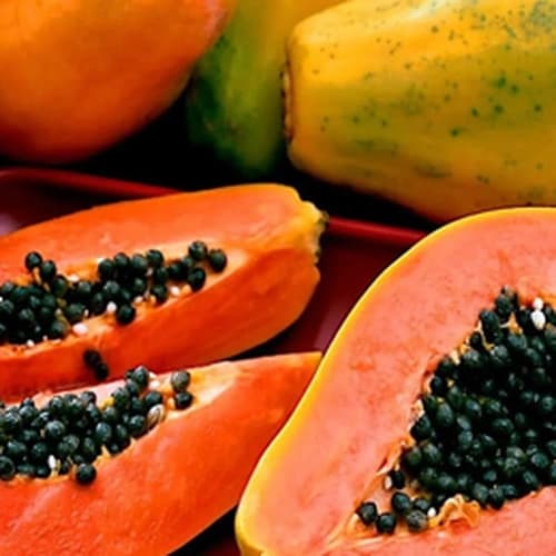 Fresh Red Papaya Premium Export Grade for Commercial Beverage and Processing