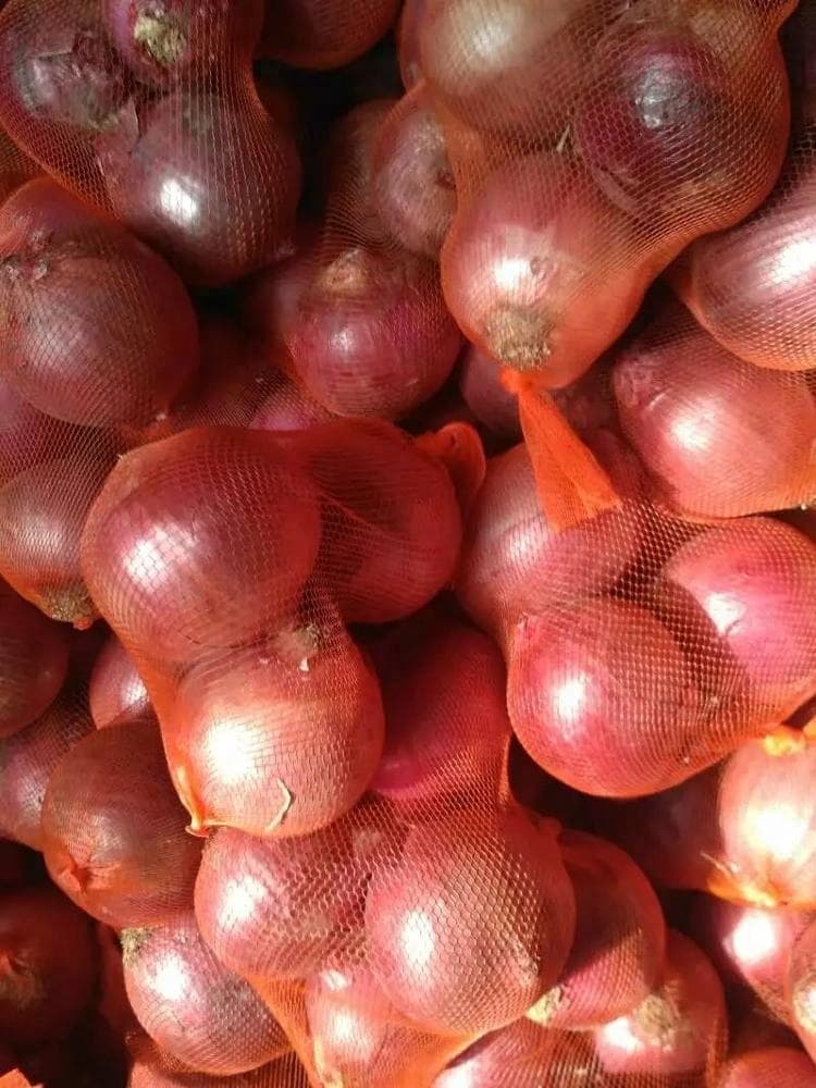 Onion (White, Red, Yellow)