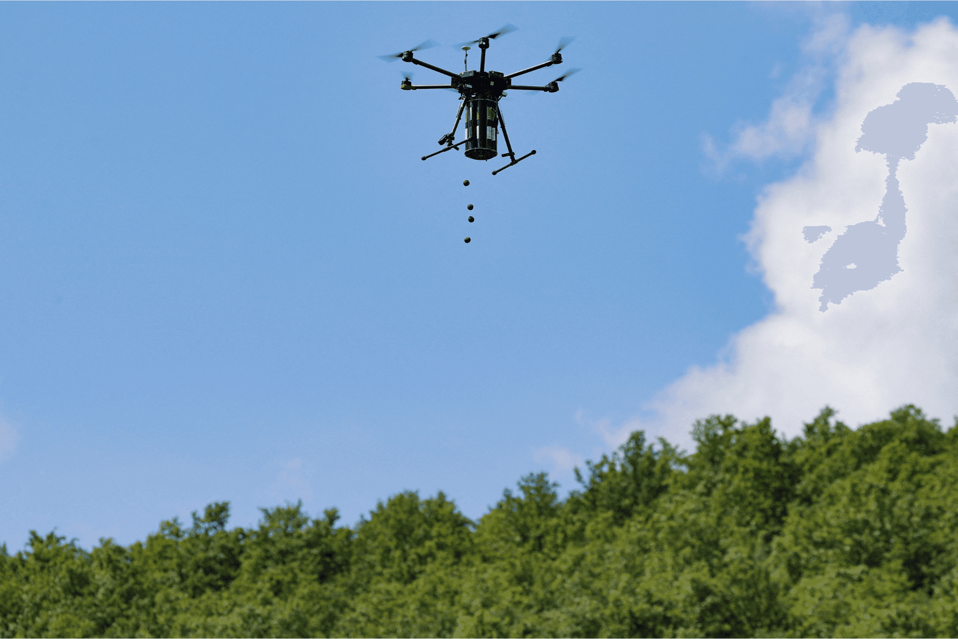 Seed Dispersal Drones