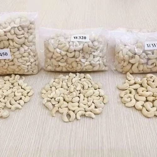 Raw Cashew Kernels W320 for Snack, Confectionery, and Wholesale Supply