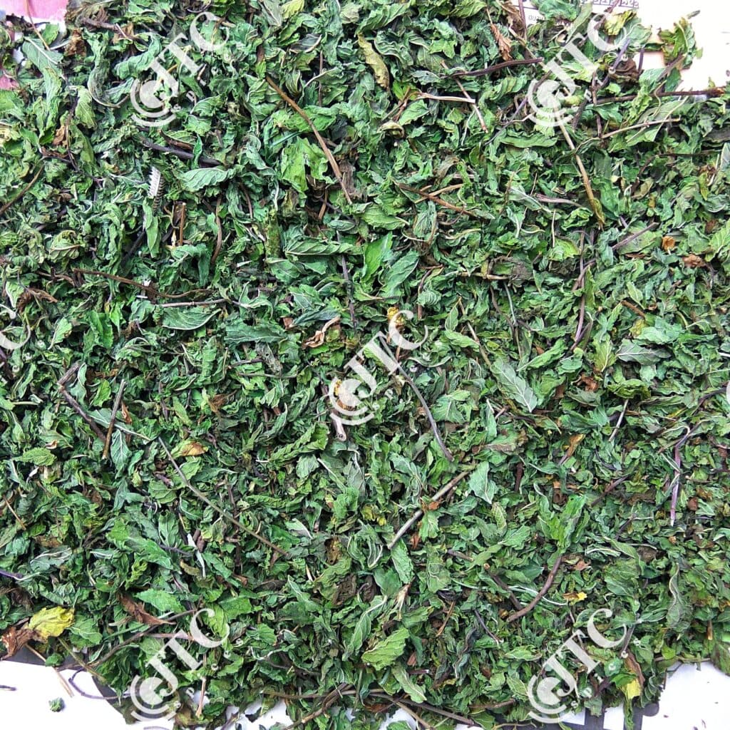 Dried Mint