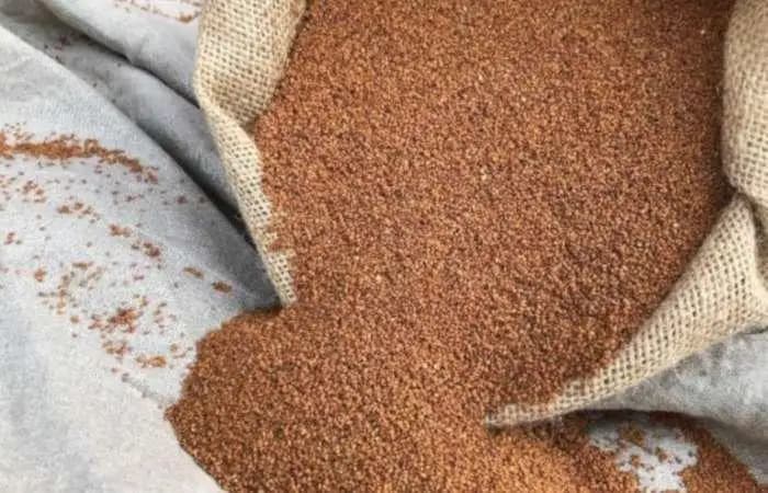 Other Oilseeds (Sunflower, Canola, Flax/Linseed, Safflower, Chia)