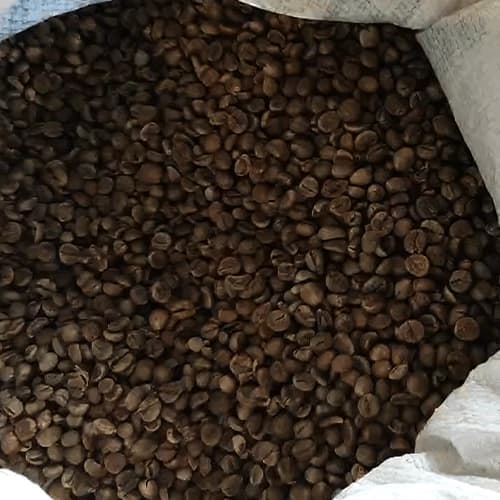 Premium Whole Roasted Coffee Beans for Commercial Roasters and Foodservice Brands
