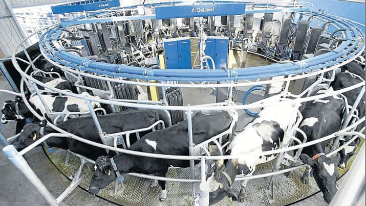 Dairy Automation Robots