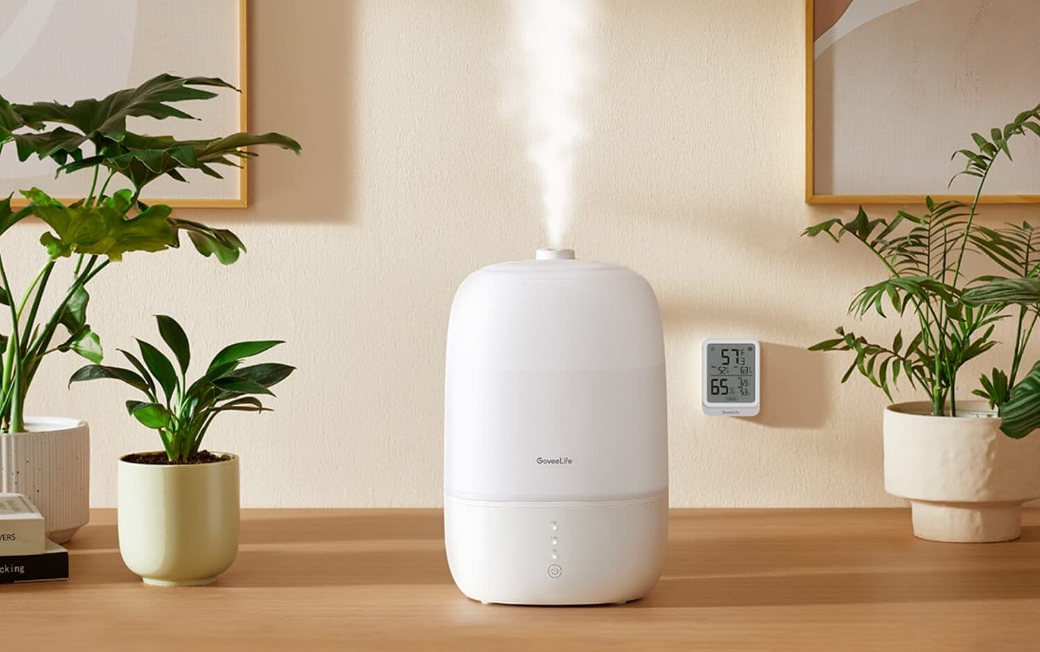 Air Purifiers & Humidifiers
