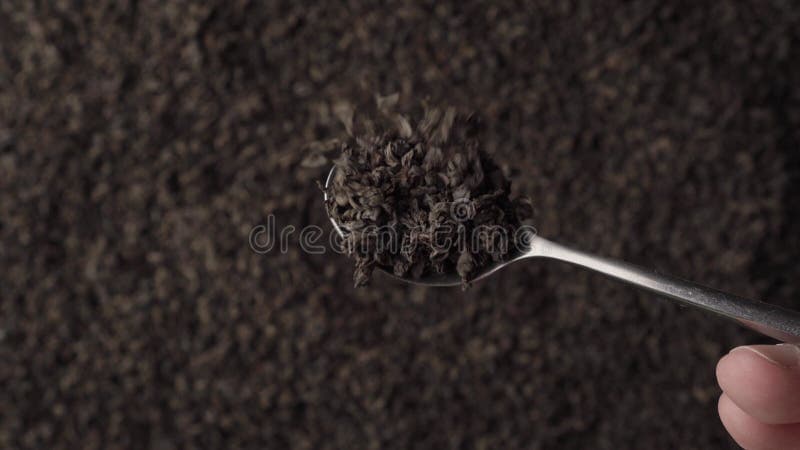 Loose Leaf (Whole, Broken, Fannings)