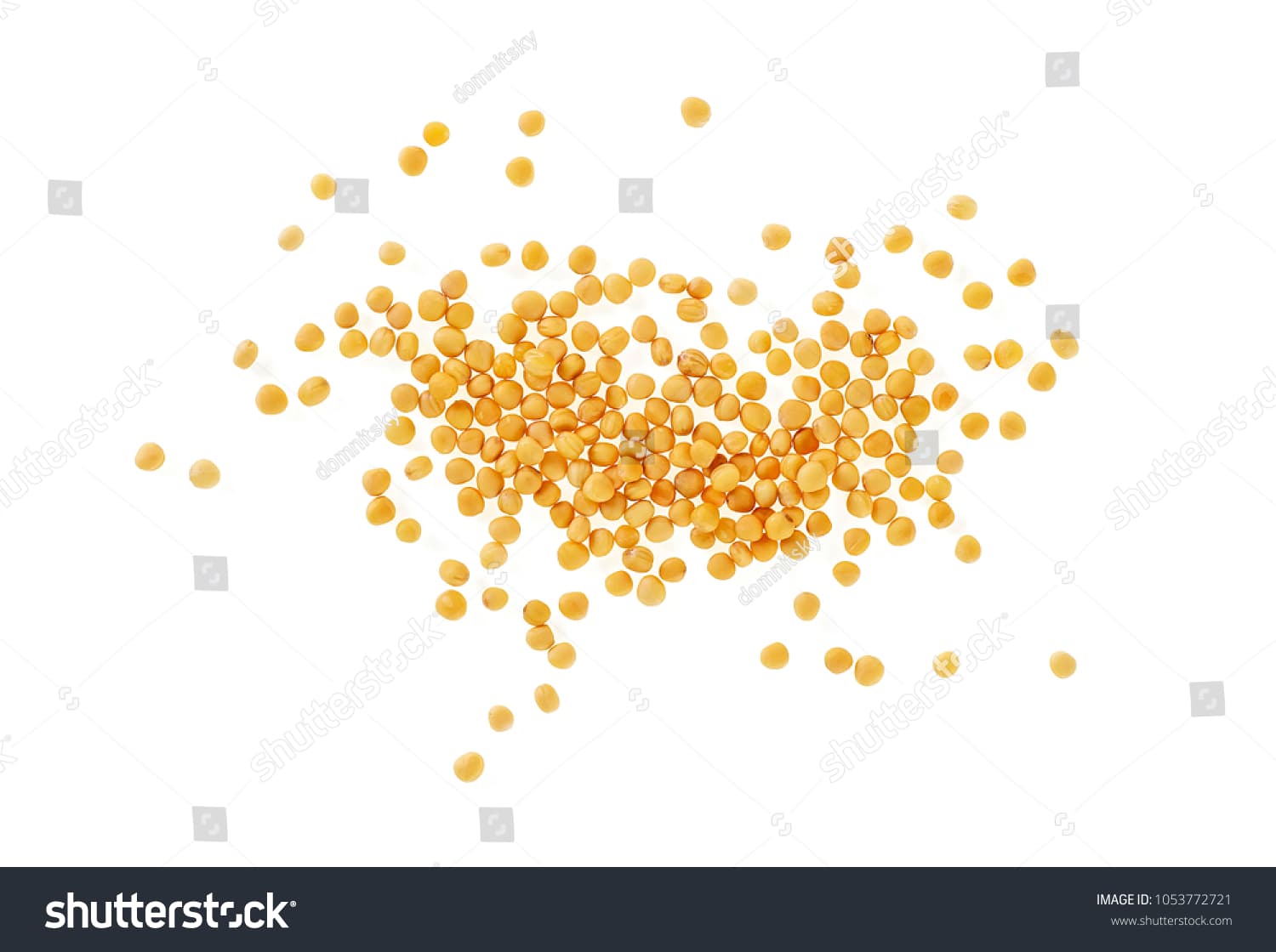 Mustard Seeds