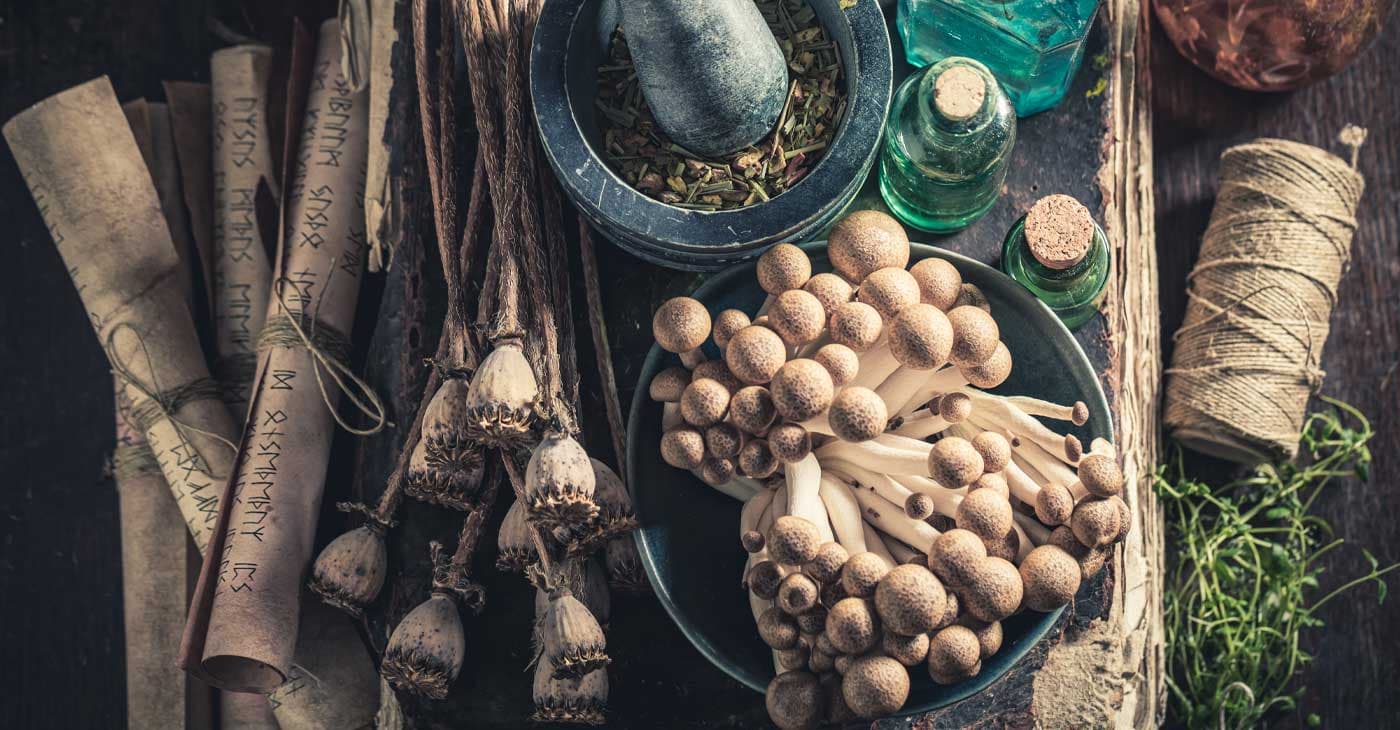 Medicinal Mushrooms
