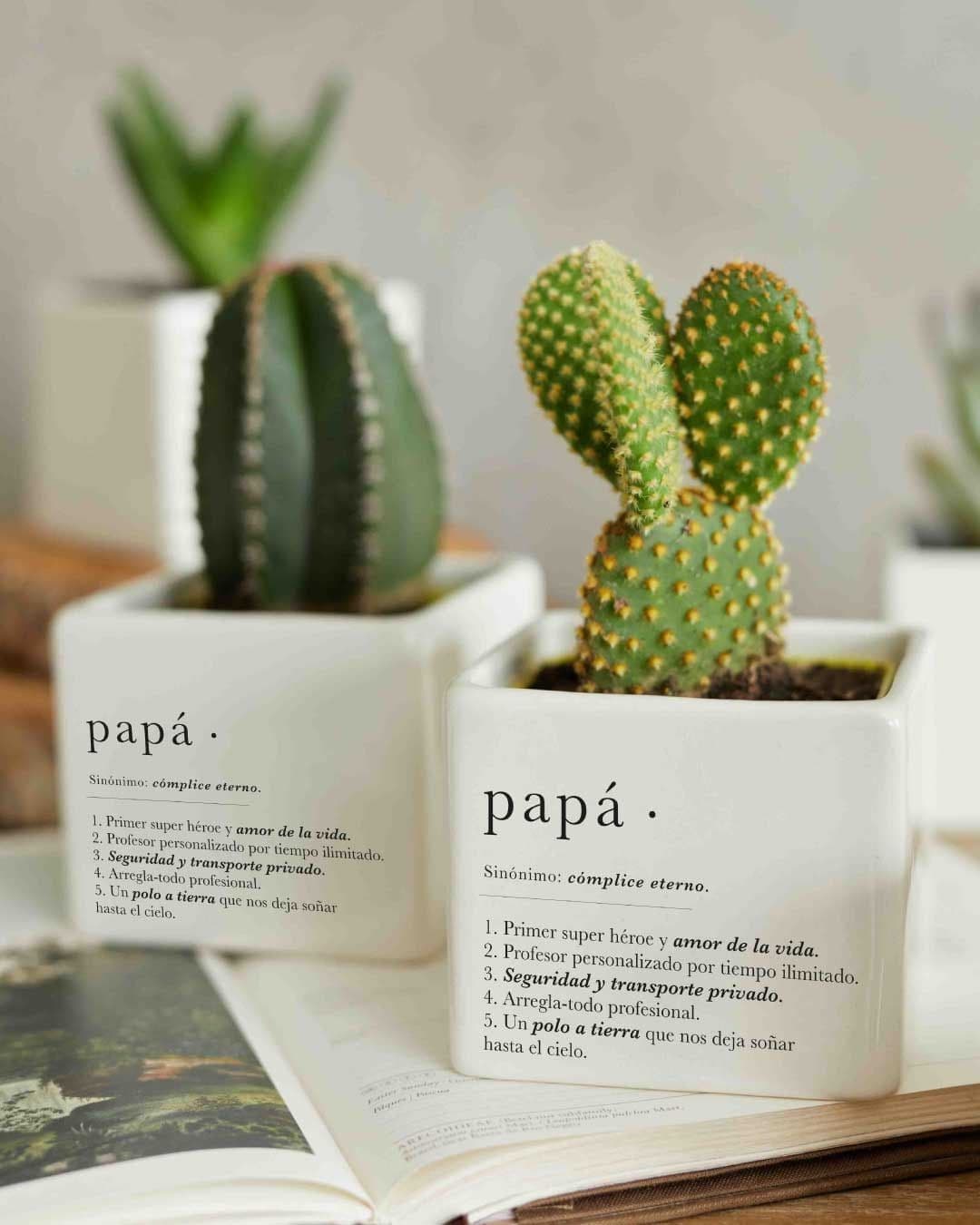 Artificial Plants, Succulents & Terrariums