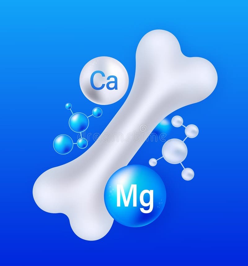 Calcium, Magnesium & Bone Health