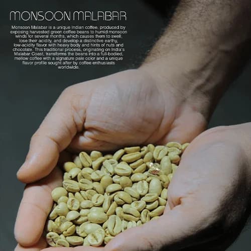 Premium Monsoon Malabar Green Coffee Beans for Specialty Roasters