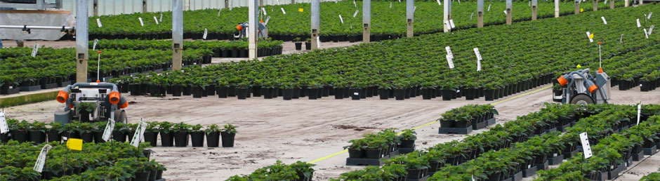 Nursery and Greenhouse Handling Robots