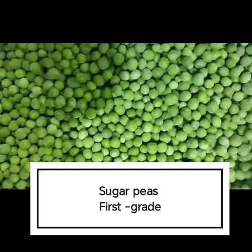 Premium IQF First-Grade Green Sugar Peas for Commercial Food Processing