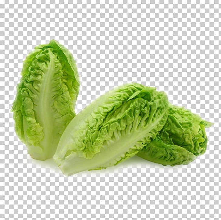 Lettuce (Romaine, Leaf, Butterhead, Iceberg)