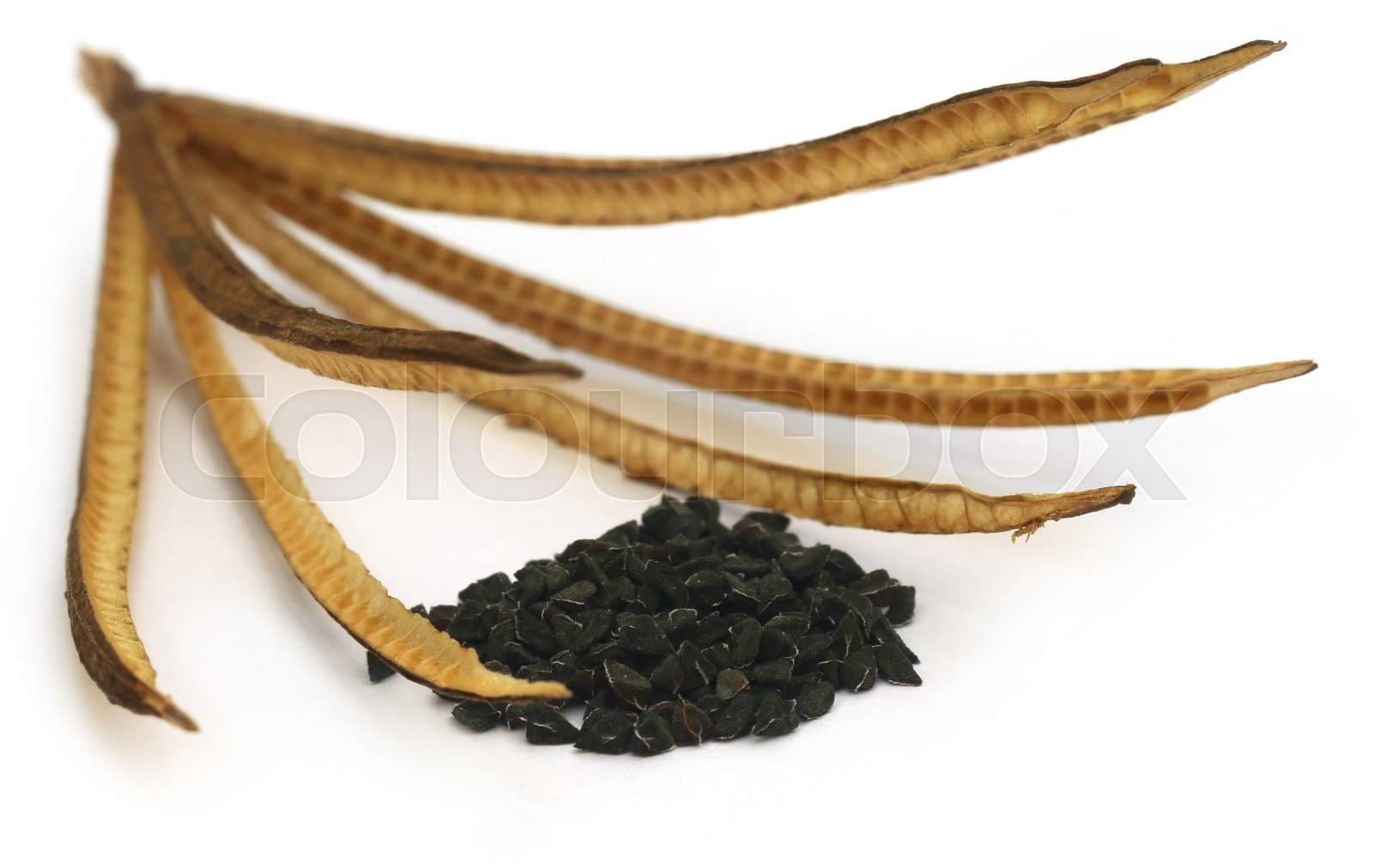 Jute Seeds