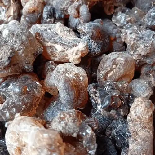 Premium Natural Gum Arabic