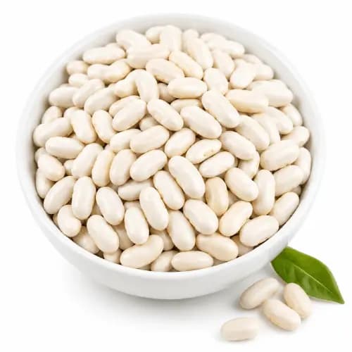 Premium White Kidney Beans for Food Processing and Export