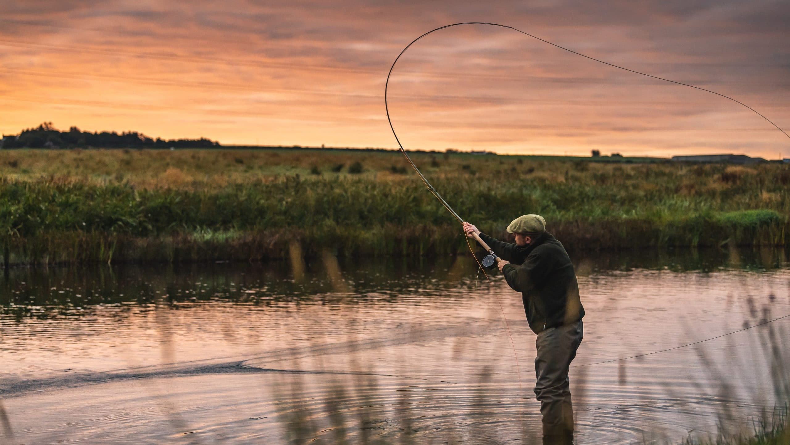 Freshwater Trout & Salmon