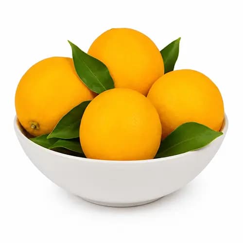 Fresh Premium Oranges for Retail, Wholesale and Export Markets