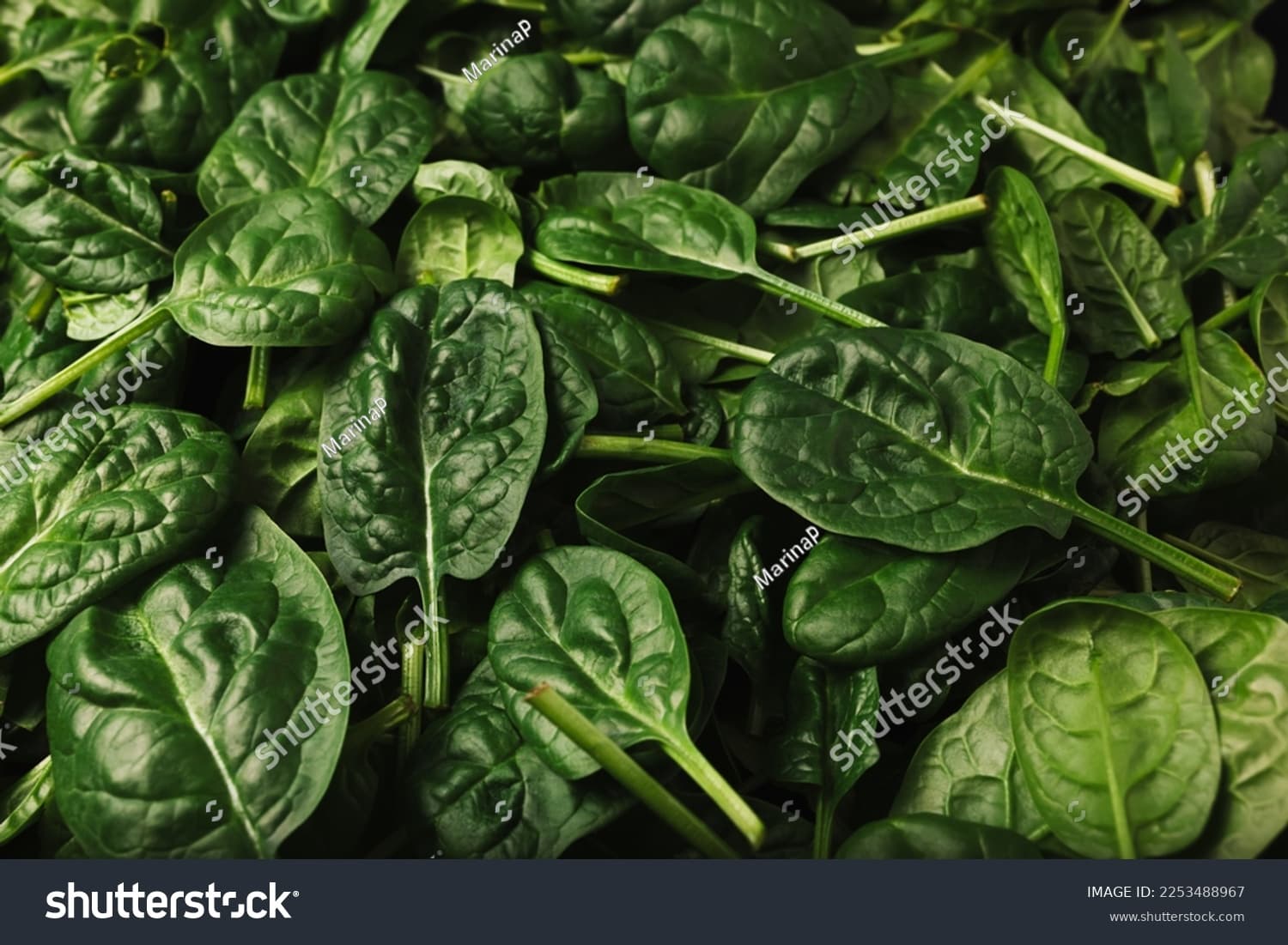 Spinach