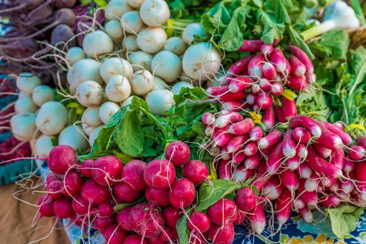Radish