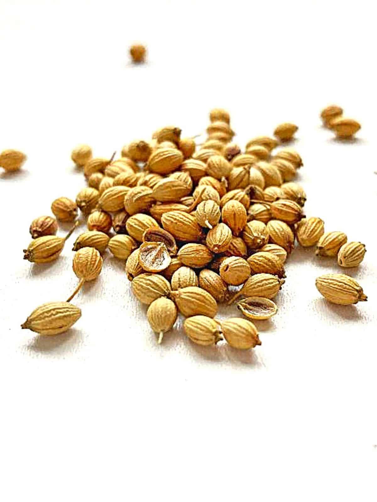 Coriander Seeds