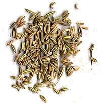 Chilli / Paprika Seeds