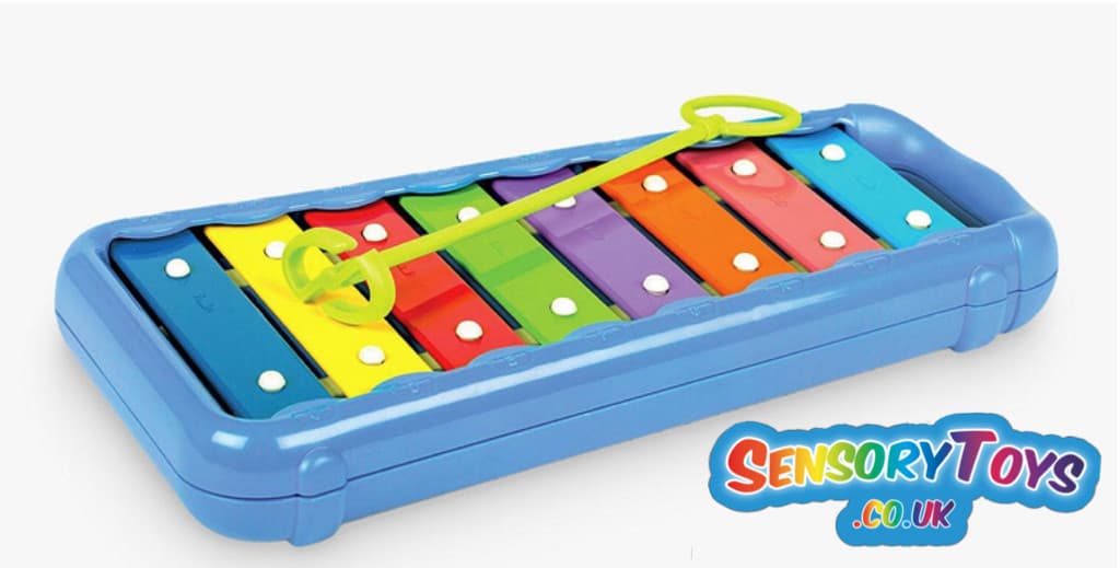 Musical & Sensory Toys